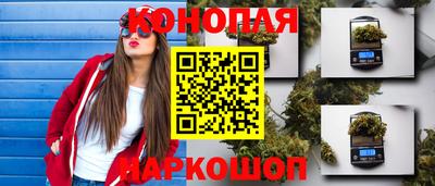 mdpv Заводоуковск