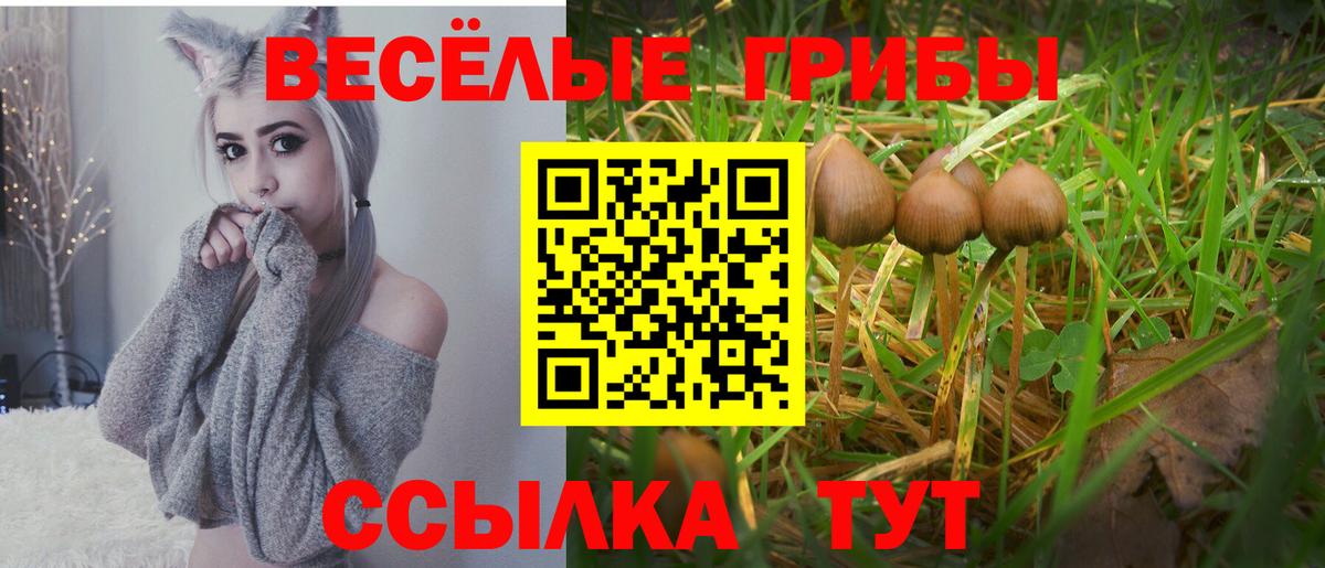 Галлюциногенные грибы GOLDEN TEACHER  Вход с VPN  Михайловка 