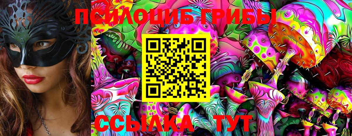 Псилоцибиновые грибы Cubensis Михайловка