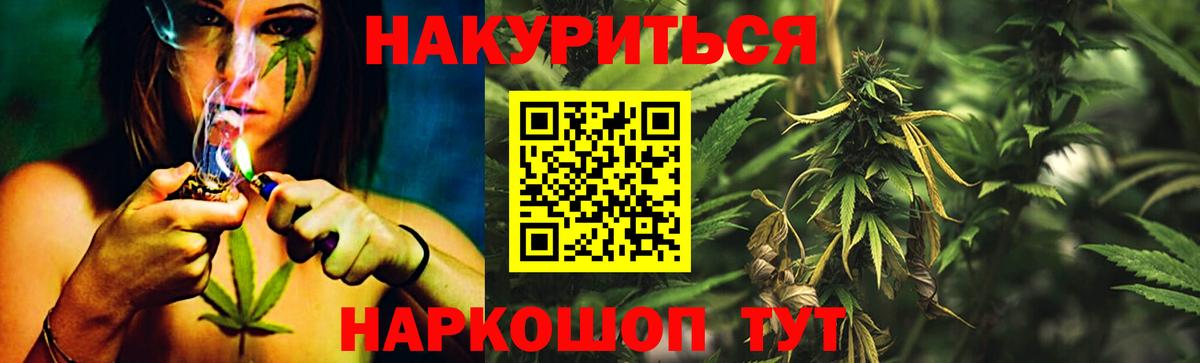 Конопля гибрид Михайловка